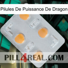 Dragon Power Pills 24
